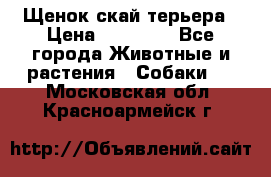 Щенок скай терьера › Цена ­ 20 000 - Все города Животные и растения » Собаки   . Московская обл.,Красноармейск г.